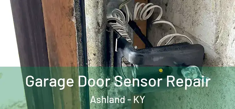 Garage Door Sensor Repair Ashland - KY