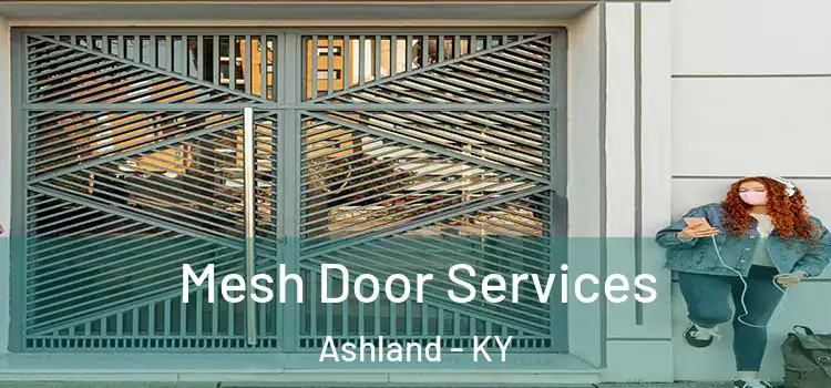 Mesh Door Services Ashland - KY