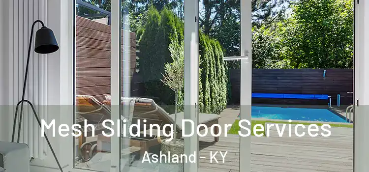 Mesh Sliding Door Services Ashland - KY
